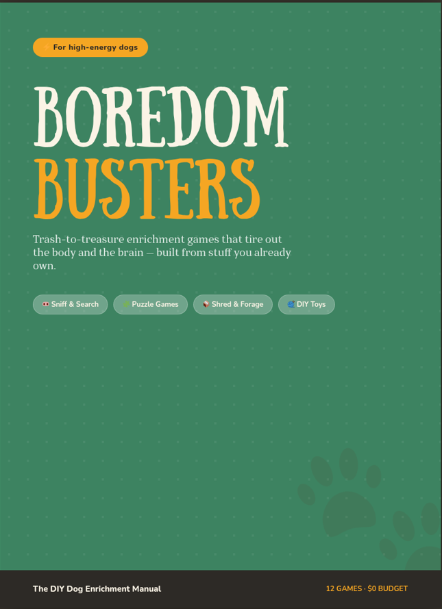 Boredom Busters